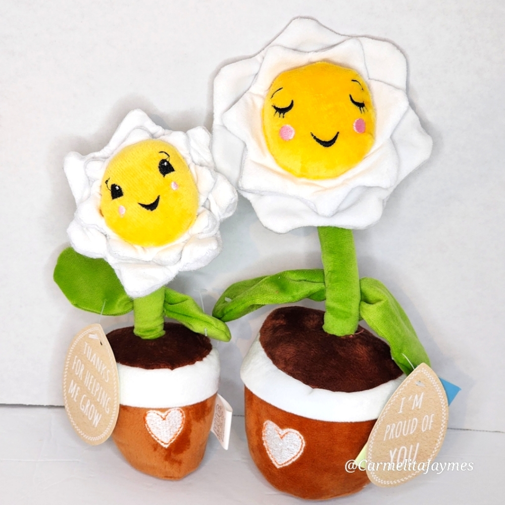 SOIL MATES 🌸 Sentimental Mothers Day Gift Idea 2pc Daisy Plant Set Mom/Kid NWT